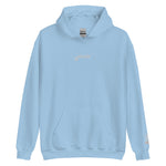 VILLAIN'S MENS HOODIE