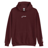 VILLAIN'S MENS HOODIE